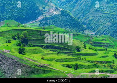 paysage de montagne avec terrasses agricoles vertes sur les pentes Banque D'Images