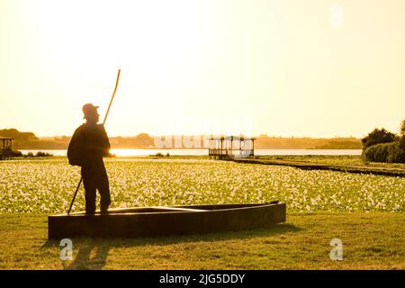 Vue sur le coucher du soleil de la Pateira de Espinhel à Agueda, Aveiro - Portugal. Banque D'Images