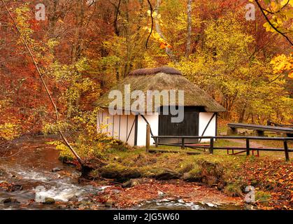 Un chalet dans la campagne en automne paysage à côté d'une rivière en Europe. Paisible et paisible scène de nature rustique grange ou de bateau près de l'eau calme Banque D'Images