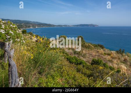 Vue panoramique sur la côte du Cilento avec de belles plages et mer claire, région de Campanie, Italie Banque D'Images