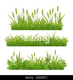 Herbe jeunes plants de céréales épis épis semis feuilles vertes 3 bannières horizontales réalistes sur illustration vectorielle blanche Illustration de Vecteur