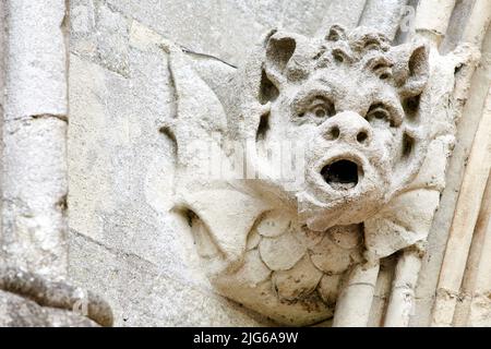 Gargouille sculptée en pierre, une tête d'eau grotesque sur la gouttière de la cathédrale médiévale de Salisbury, en Angleterre. Banque D'Images