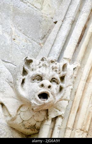 Gargouille sculptée en pierre, une tête d'eau grotesque sur la gouttière de la cathédrale médiévale de Salisbury, en Angleterre. Banque D'Images