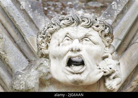 Gargouille sculptée en pierre, une tête d'eau grotesque sur la gouttière de la cathédrale médiévale de Salisbury, en Angleterre. Banque D'Images