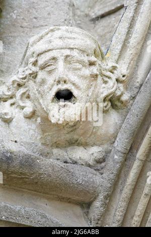 Gargouille sculptée en pierre, une tête d'eau grotesque sur la gouttière de la cathédrale médiévale de Salisbury, en Angleterre. Banque D'Images