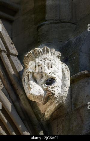 Gargouille sculptée en pierre, une tête d'eau grotesque sur la gouttière de la cathédrale médiévale de Salisbury, en Angleterre. Banque D'Images