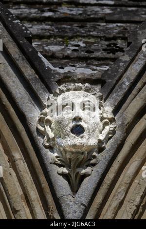 Gargouille sculptée en pierre, une tête d'eau grotesque sur la gouttière de la cathédrale médiévale de Salisbury, en Angleterre. Banque D'Images