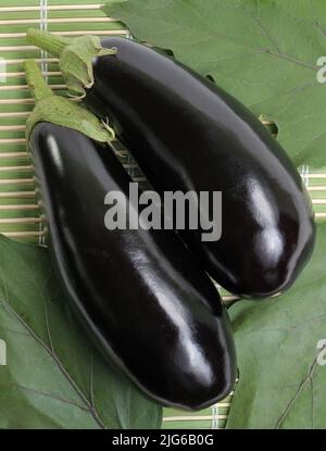 Deux aubergines noires lisses et brillantes reposent sur un fond de feuilles Banque D'Images