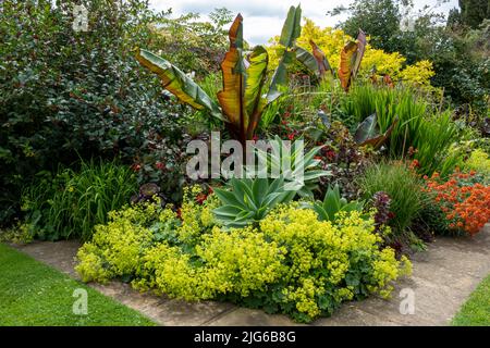 Plantation dans les jardins de Bourton House, Morton à Marsh. Ville marchande des Cotswolds, Gloucestershire, Angleterre, royaume-uni Banque D'Images