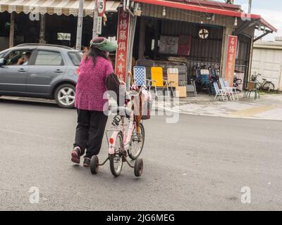 Luodong, Taïwan - oct, 2016: Femme taïwanaise transportant différents articles sur un vélo à trois roues. Les tricycles sont des moyens de transport très populaires Banque D'Images