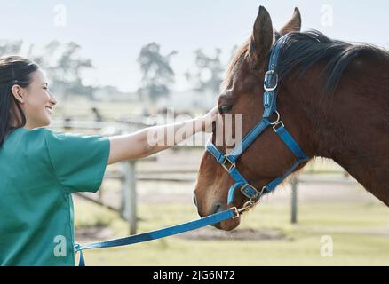 Comment vous sentez-vous. Photo d'un jeune vétérinaire attrayant debout seul et assistant à un cheval sur une ferme. Banque D'Images