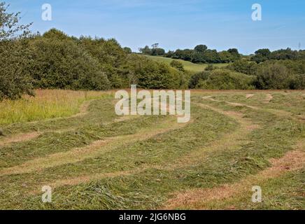 Mown Meadow près de New Broughton, pays de Galles Banque D'Images