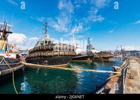 Groupe de remorqueurs et bateaux de pêche dans le port international de la Spezia, mer Méditerranée, Golfe de la Spezia, Ligurie, Italie, Europe. Banque D'Images