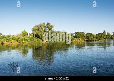 Chiswick Eyot dans la Tamise, dans le sud-ouest de Londres, Angleterre, Royaume-Uni Banque D'Images