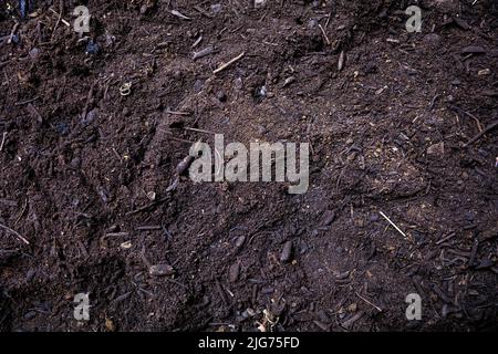 Arrière-plan de texture de sol, vue de dessus. Terre fertile, terre, terre en gros plan. Modèle d'agriculture et de travaux de jardin Banque D'Images