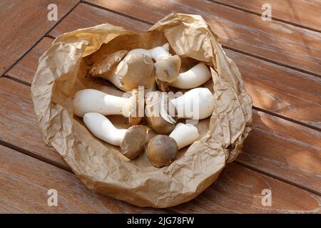 Cuisine souabe, préparation Bubaspitzle aux légumes du four, champignons de la trompette (Pleurotus eryngii), champignons dans un sac de papier, sain Banque D'Images