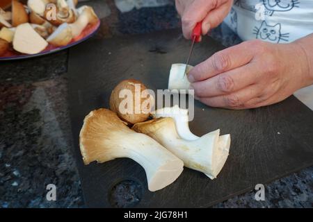 Cuisine souabe, préparation de Bubaspitzle avec des légumes du four, des trompettes (Pleurotus eryngii), des champignons (Agaricus) (Syn. : Banque D'Images