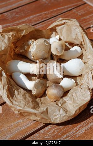 Cuisine souabe, préparation Bubaspitzle aux légumes du four, champignons de la trompette (Pleurotus eryngii), champignons dans un sac de papier, sain Banque D'Images