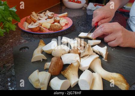 Cuisine souabe, préparation de Bubaspitzle avec des légumes du four, des trompettes (Pleurotus eryngii), des champignons (Agaricus) (Syn. : Banque D'Images