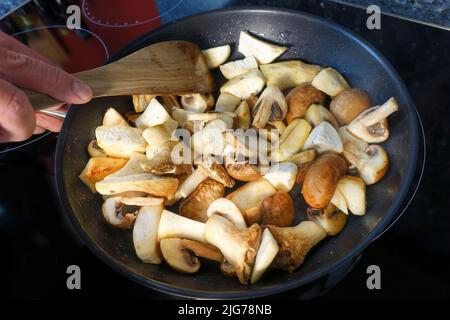 Cuisine souabe, préparation de Bubaspitzle avec des légumes du four, des trompettes (Pleurotus eryngii), des champignons (Agaricus) (Syn. : Banque D'Images