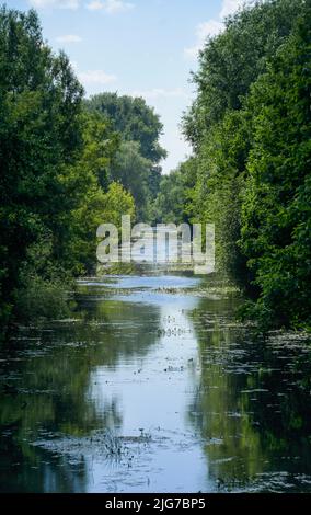 Nuthe, height Horstweg, Potsdam, Brandebourg, Allemagne Banque D'Images