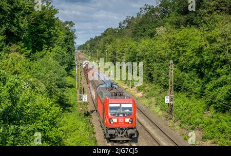 Train de marchandises, forêt urbaine, Francfort-sur-le-main, Hesse, Allemagne Banque D'Images