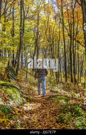 Adulte mâle randonnée sur les feuilles d'automne tombées sur le sentier des Appalaches. Banque D'Images