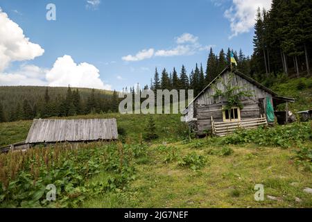 Vieux cabanes en bois sur les prairies carpates, où les moutons et les vaches se broutent, Ukraine Banque D'Images