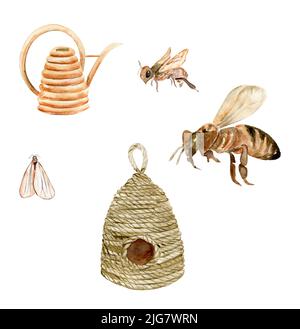abeilles dessinées à la main, maison d'abeilles, abreuvoir d'abeilles Banque D'Images