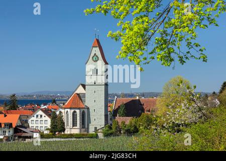 Hagnau sur le lac de Constance au printemps, Bade-Wurtemberg, Allemagne Banque D'Images