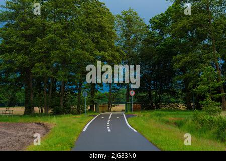 Belle piste de vélo et de skate loin des villes en été dans l'état de Brandebourg en Allemagne, flaeming skate section près de Luckenwalde Banque D'Images