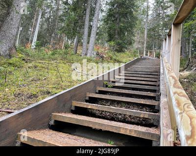 Escaliers, sentier de randonnée à Brunschkopf, Wildmoos, nature, montagnes, activité, Région de Seefeld, Leutasch, Mösern, Reith, Scharnitz, Haut plateau du Tyrol, Seefeld, Tyrol, Autriche Banque D'Images