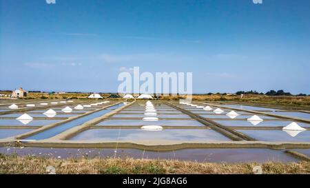 Les marais salants sur l'île de Noirmoutier, France Banque D'Images