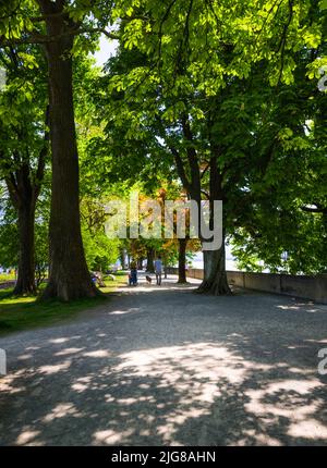 Lac de Constance, vue ouest du parc, île de Lindau, Reutine, Swabia, Allemagne, Europe Banque D'Images