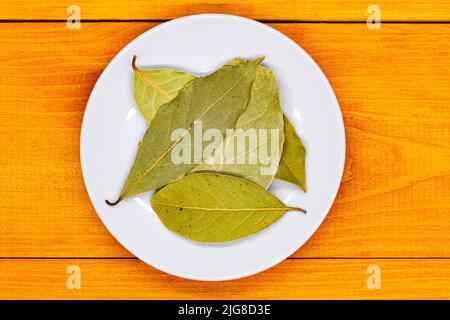 Feuille de Laurier. Feuilles d'arbre Laurel sur une assiette blanche sur une table en bois orange. Épices culinaires. Aromatiser les épices pour la cuisine. Additifs pour aliments délicieux. Banque D'Images