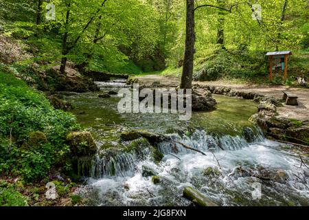 L'Echaz est une rivière longue de 23 km qui s'élève sur l'Albtrauf au sud de Honau. Honau est un district de la municipalité de Lichtenstein. Banque D'Images