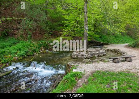 L'Echaz est une rivière longue de 23 km qui s'élève sur l'Albtrauf au sud de Honau. Honau est un district de la municipalité de Lichtenstein. Banque D'Images