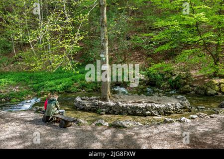 L'Echaz est une rivière longue de 23 km qui s'élève sur l'Albtrauf au sud de Honau. Honau est un district de la municipalité de Lichtenstein. Banque D'Images