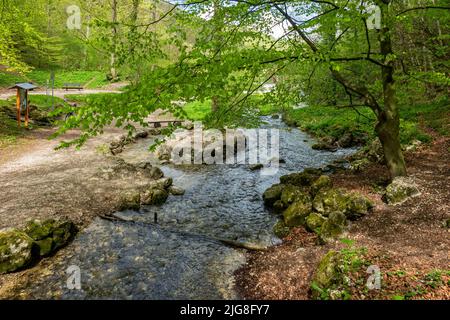 L'Echaz est une rivière longue de 23 km qui s'élève sur l'Albtrauf au sud de Honau. Honau est un district de la municipalité de Lichtenstein. Banque D'Images