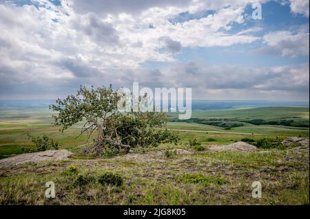 Vues sur le site du patrimoine mondial Head-Smashed-in Buffalo Jump dans le sud de l'Alberta au Canada. Banque D'Images