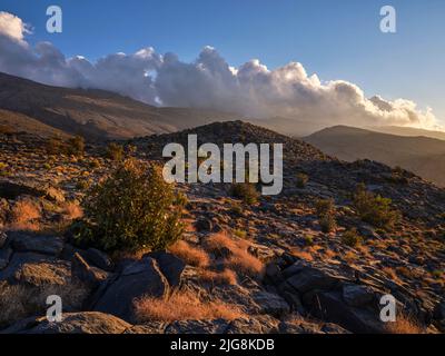 Dawn au-dessus d'Al Hamra, Oman. Banque D'Images