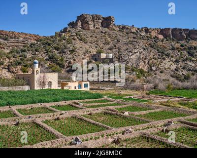 Promenez-vous dans le village de montagne d'Al Ain, Oman. Banque D'Images