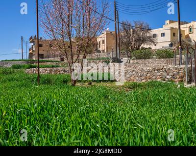 Promenez-vous dans le village de montagne d'Al Ain, Oman. Banque D'Images