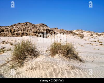 Dunes près d'Al Khalif, Oman. Banque D'Images