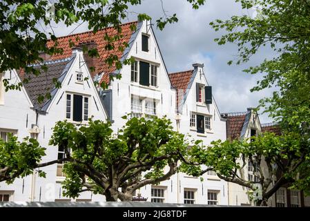 Façades de maisons caractéristiques, Amsterdam, pays-Bas Banque D'Images