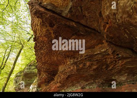 Vieux château de rochers, altération, trous et crevasses dans la roche, rochers de grès rouge près d'Eppenbrunn, forêt de hêtres en vert de printemps, parc naturel de Pfälzerwald, réserve de biosphère de Pfälzerwald-Nordvogesen, Allemagne, Rhénanie-Palatinat Banque D'Images