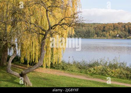 Marche d'automne sur le lac Ratzeburg à Ratzeburg, Allemagne. Banque D'Images