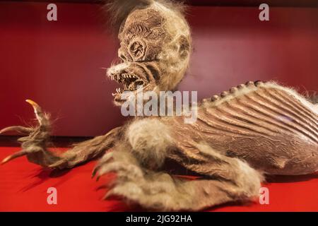 Angleterre, Londres, South Kensington, Musée des sciences, exposition d'un Merman historique Banque D'Images