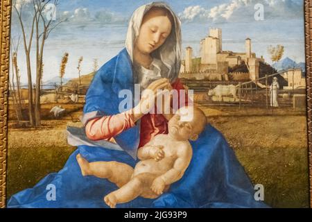 Peinture intitulée 'Madonna of the Meadow' par l'artiste italien Giovanni Bellini en date de 1500 Banque D'Images