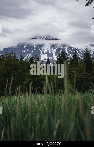 Vue sur les arbres et les montagnes enneigées de l'Alaska Banque D'Images
